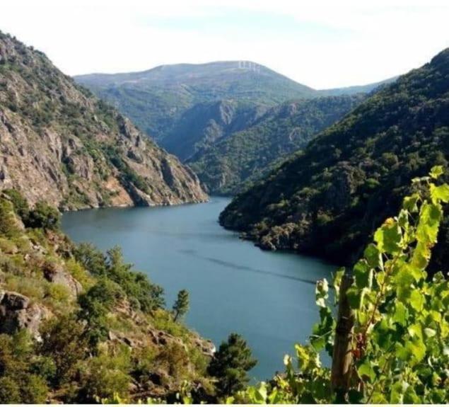 Piso Ribeira Sacra Lejlighed Monforte De Lemos Eksteriør billede